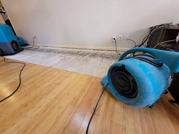 Professional Water Extraction technician working in Dundee, MI